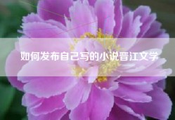 如何发布自己写的小说晋江文学