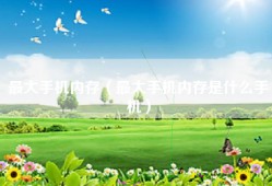 最大手机内存（最大手机内存是什么手机）
