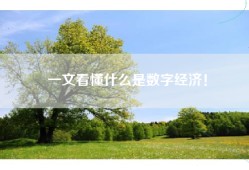 一文看懂什么是数字经济！