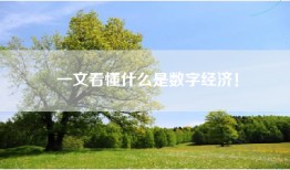 一文看懂什么是数字经济！