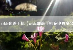 nokia翻盖手机（nokia翻盖手机充电要多久）