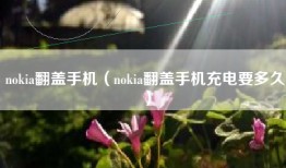 nokia翻盖手机（nokia翻盖手机充电要多久）