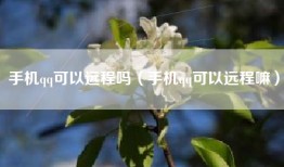 手机qq可以远程吗(手机qq可以远程嘛)