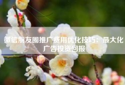 微信朋友圈推广费用优化技巧：最大化广告投资回报