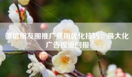 微信朋友圈推广费用优化技巧：最大化广告投资回报