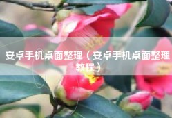安卓手机桌面整理（安卓手机桌面整理教程）