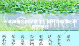关键词排名网站优化：提升网站排名的有效策略