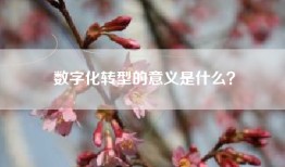 数字化转型的意义是什么？