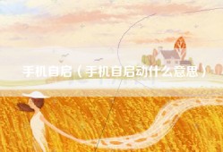 手机自启（手机自启动什么意思）
