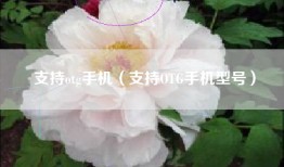 支持otg手机（支持OTG手机型号）