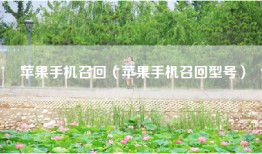 苹果手机召回（苹果手机召回型号）