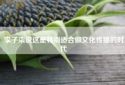 李子柒说这是特别适合做文化传播的时代