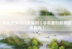 手机数据可以恢复吗（手机里的数据能恢复吗）