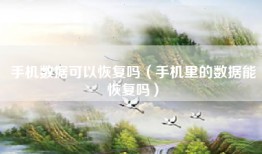 手机数据可以恢复吗（手机里的数据能恢复吗）
