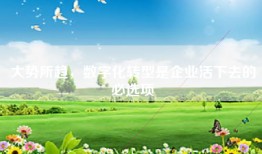 大势所趋，数字化转型是企业活下去的必选项
