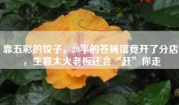 靠五彩的饺子，20平的苍蝇馆竟开了分店，生意太火老板还会“赶”你走