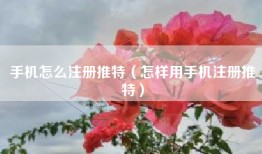 手机怎么注册推特（怎样用手机注册推特）