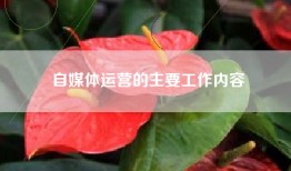 自媒体运营的主要工作内容