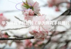 华为所有手机图片（华为所有手机图片 型号）