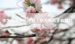 华为所有手机图片（华为所有手机图片 型号）
