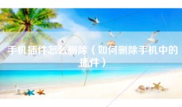 手机插件怎么删除（如何删除手机中的插件）
