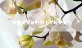 就业前景最好的十大专业排名