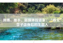 微博、推手、新媒体投资家：“仙女”李子柒身后的生意人