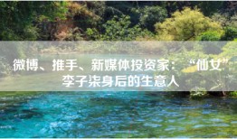 微博、推手、新媒体投资家：“仙女”李子柒身后的生意人