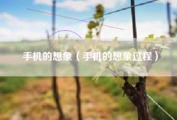 手机的想象（手机的想象过程）