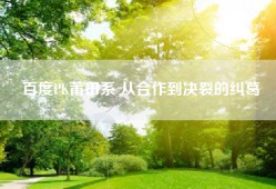 百度PK莆田系 从合作到决裂的纠葛