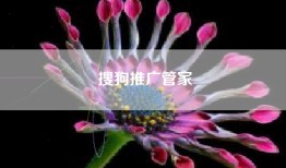 搜狗推广管家