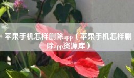 苹果手机怎样删除app（苹果手机怎样删除app资源库）