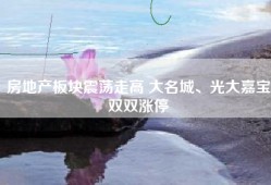房地产板块震荡走高 大名城、光大嘉宝双双涨停