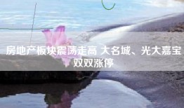 房地产板块震荡走高 大名城、光大嘉宝双双涨停