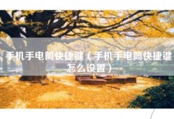 手机手电筒快捷键（手机手电筒快捷键怎么设置）