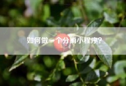 如何做一个分销小程序？