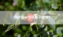如何做一个分销小程序？