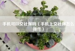 手机可以交社保吗（手机上交社保怎么操作）