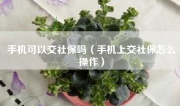 手机可以交社保吗(手机上交社保怎么操作)
