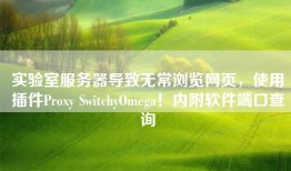 实验室服务器导致无常浏览网页，使用插件Proxy SwitchyOmega！内附软件端口查询