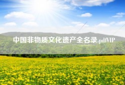 中国非物质文化遗产全名录.pdfVIP