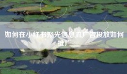如何在小红书聚光信息流广告投放如何推广