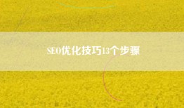SEO优化技巧13个步骤