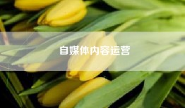 自媒体内容运营