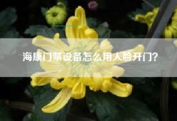 海康门禁设备怎么用人脸开门？