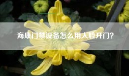 海康门禁设备怎么用人脸开门？
