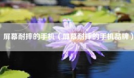 屏幕耐摔的手机（屏幕耐摔的手机品牌）