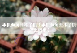 手机蓝屏开不了机（手机蓝屏开不了机怎么回事）