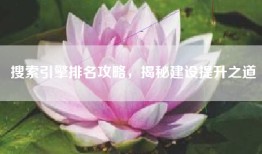搜索引擎排名攻略，揭秘建设提升之道