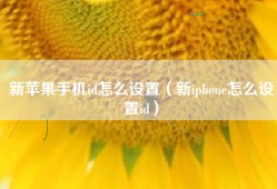新苹果手机id怎么设置（新iphone怎么设置id）